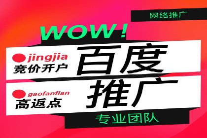 社交媒体信息流广告营销的五大成功案例